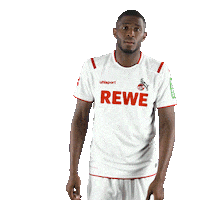 Fc Cologne Bundesliga Sticker by 1. FC Köln