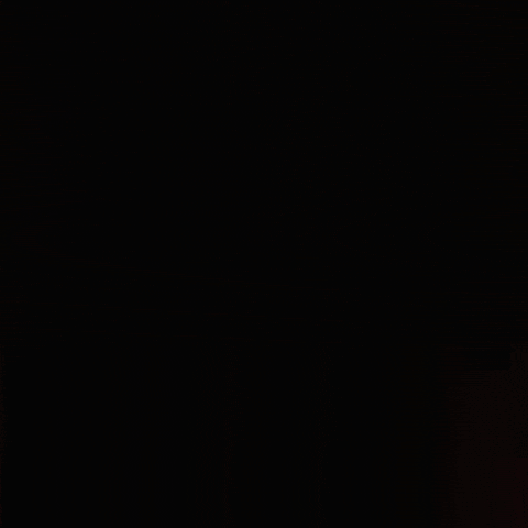 Celio Pompeu GIF by St. Louis CITY SC