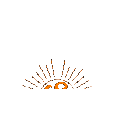 Show Musica Sticker by BandaSaiaRodada