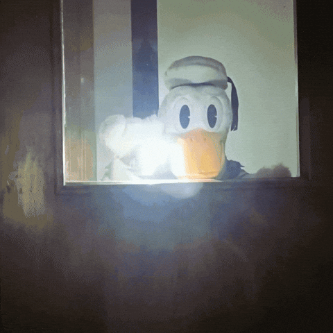 SanPitoPato donald duck pato pato donald san pito pato GIF