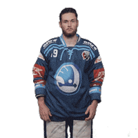 Hockey Applause Sticker by HC Škoda Plzeň