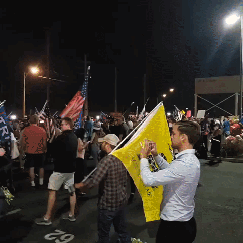 Armed Protesters Among Pro-Trump Crowd Calling for All Votes to be Counted in Maricopa County