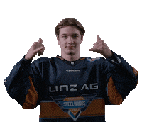 Linz Ag Win Sticker by Black Wings Linz