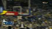 celebrate lets go GIF by NBA