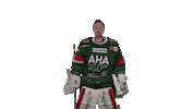 aevpanther celebration hockey jubel celly Sticker