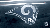 Regular Season Football GIF by NFL