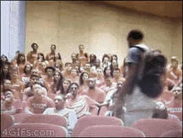 gifys GIF by The .GIFYS