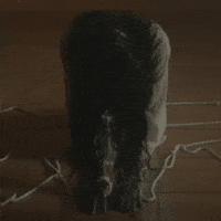 Rock Bottom GIF by Island Records Australia