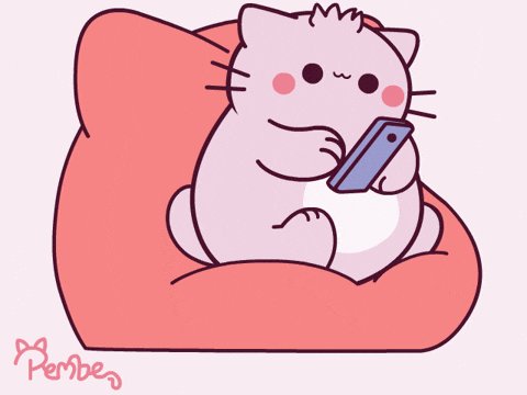 Social Media What GIF by Pembe