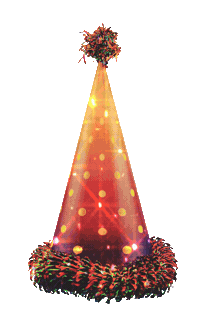 Celebrate Happy Birthday Sticker by GoStijn