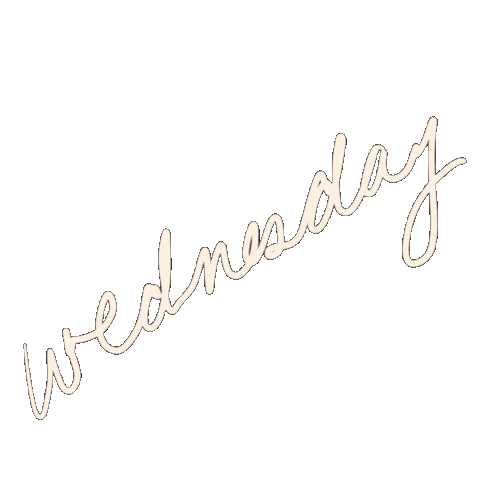 Wednesday Day Of The Week Sticker by btwsam
