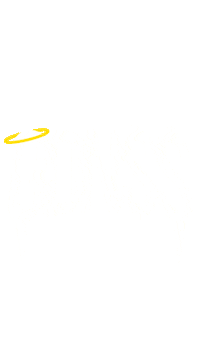 Gdnss Sticker by illdonutsradio