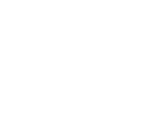 Flower 花 Sticker