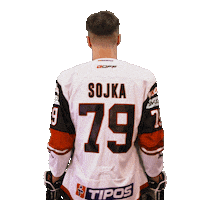 Hokej Sojka Sticker by HC '05 Banská Bystrica
