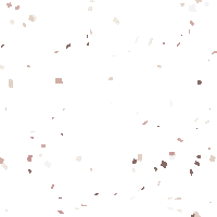 Confetti Bride Sticker by The White Flower Bridal Boutique