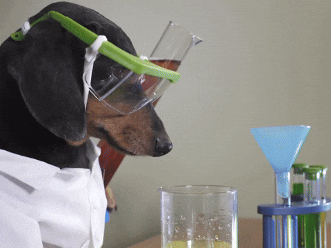 Crusoegifs giphyupload science chemistry science experiment GIF