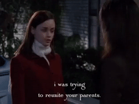 season 5 netflix GIF by Gilmore Girls 