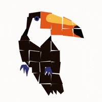 Bird Block GIF