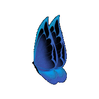 Butterfly Papillon Sticker