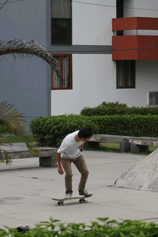 vidarodantemag giphyupload GIF