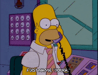 homer simpson episode 20 GIF