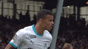Sport Celebration GIF by Olympique de Marseille