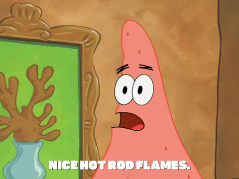 season 5 GIF by SpongeBob SquarePants