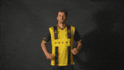 South Carolina Soccer GIF by Charleston Battery