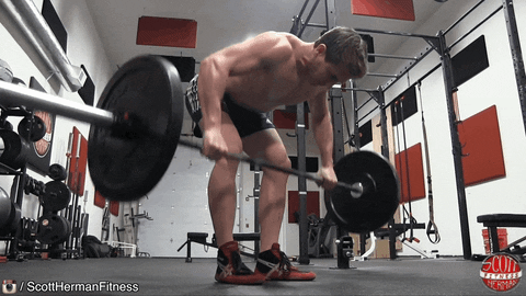 step9191 giphyupload GIF