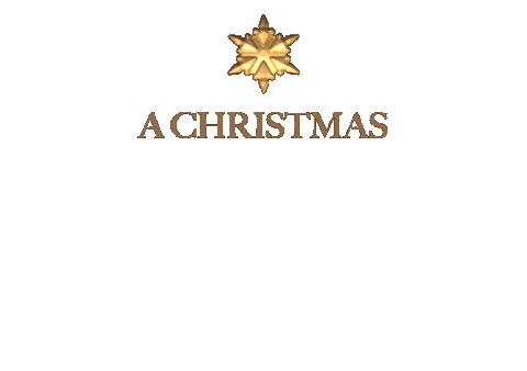 Christmas Fantasy Sticker by Rafflescitysg