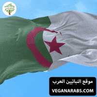 Algeria Flag GIF by VeganArabs