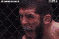 Khabib Nurmagomedov Ufc GIF