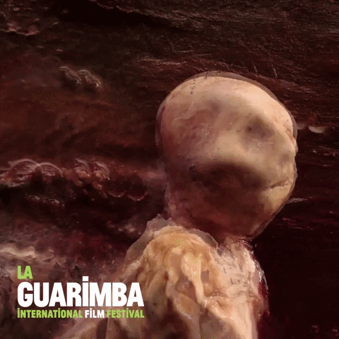 Run Away Welcome To Hell GIF by La Guarimba Film Festival