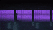 Jujutsu Kaisen Jjk GIF