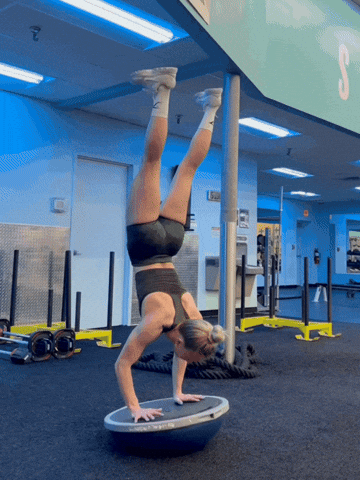 Nellgrabowski GIF