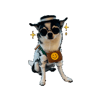 Milk Chihuahua Sticker