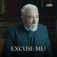 Excuse Me Thegildedage GIF by HBO Max