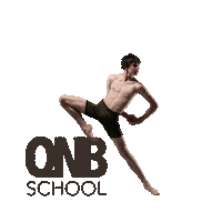 Qnb Sticker by QNBallet