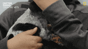National Geographic Dog GIF by Nat Geo Wild