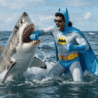 Angry Shark Week GIF by Jukebox Saints