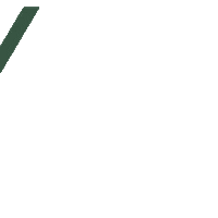 Brand Vegan Sticker by VEGANSHOES.IT