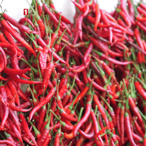 Pot Shut Up GIF by TRT