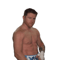 Canelo Alvarez Sport Sticker by SHOWTIME Sports