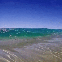 Wave Wow GIF by JustViral.Net
