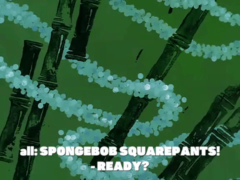 season 8 GIF by SpongeBob SquarePants