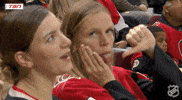 Ottawa Senators No GIF by NHL