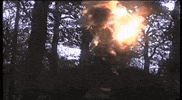 nai harvest GIF by Topshelf Records