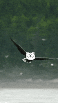 Crypto Soar GIF by ShiroNeko