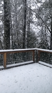 Winter Storm Leads to Downed Trees and Power Outages in Mayacamas Mountains