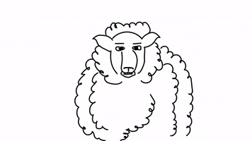Biggiegils_animation biggiegils crazy sheep screaming sheep cartoon sheep GIF